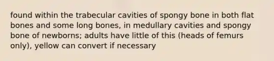 found within the trabecular cavities of spongy bone in both flat bones and some long bones, in medullary cavities and spongy bone of newborns; adults have little of this (heads of femurs only), yellow can convert if necessary