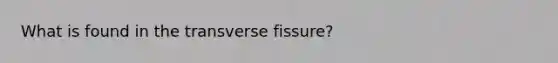 What is found in the transverse fissure?