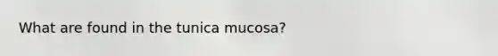 What are found in the tunica mucosa?