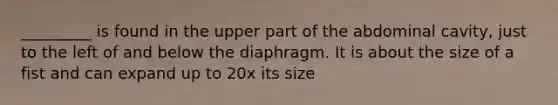 _________ is found in the upper part of the abdominal cavity, just to the left of and below the diaphragm. It is about the size of a fist and can expand up to 20x its size