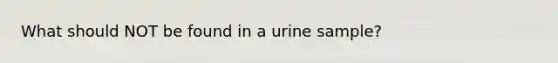 What should NOT be found in a urine sample?