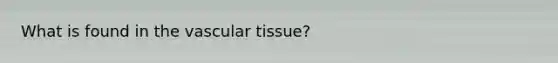 What is found in the vascular tissue?