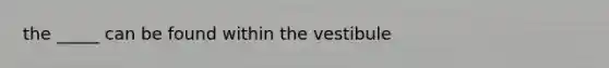 the _____ can be found within the vestibule