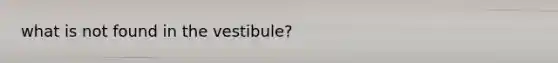 what is not found in the vestibule?