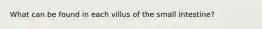 What can be found in each villus of the small intestine?