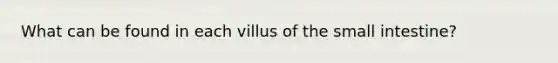 What can be found in each villus of the small intestine?