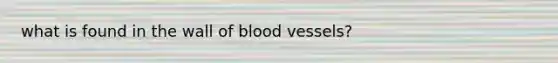 what is found in the wall of blood vessels?