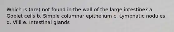 Which is (are) not found in the wall of the large intestine? a. Goblet cells b. Simple columnar epithelium c. Lymphatic nodules d. Villi e. Intestinal glands