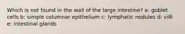 Which is not found in the wall of the large intestine? a: goblet cells b: simple columnar epithelium c: lymphatic nodules d: villi e: intestinal glands