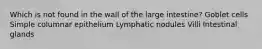 Which is not found in the wall of the large intestine? Goblet cells Simple columnar epithelium Lymphatic nodules Villi Intestinal glands