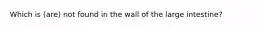 Which is (are) not found in the wall of the large intestine?