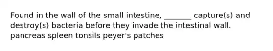 Found in the wall of the small intestine, _______ capture(s) and destroy(s) bacteria before they invade the intestinal wall. pancreas spleen tonsils peyer's patches