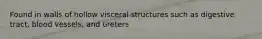 Found in walls of hollow visceral structures such as digestive tract, blood vessels, and ureters