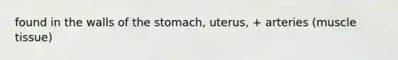 found in the walls of the stomach, uterus, + arteries (muscle tissue)