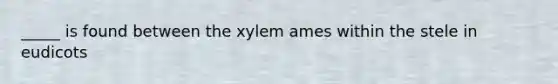 _____ is found between the xylem ames within the stele in eudicots