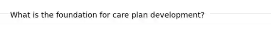 What is the foundation for care plan development?