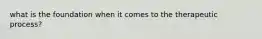 what is the foundation when it comes to the therapeutic process?