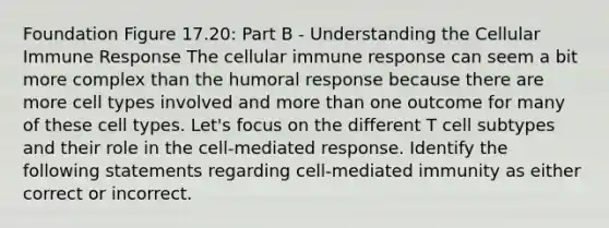 Foundation Figure 17.20: Part B - Understanding the Cellular Immune Response The cellular immune response can seem a bit more complex than the humoral response because there are more cell types involved and more than one outcome for many of these cell types. Let's focus on the different T cell subtypes and their role in the cell-mediated response. Identify the following statements regarding cell-mediated immunity as either correct or incorrect.