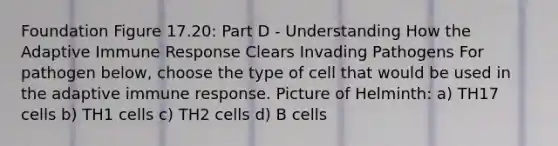 Foundation Figure 17.20: Part D - Understanding How the Adaptive Immune Response Clears Invading Pathogens For pathogen below, choose the type of cell that would be used in the adaptive immune response. Picture of Helminth: a) TH17 cells b) TH1 cells c) TH2 cells d) B cells