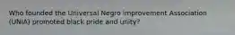 Who founded the Universal Negro improvement Association (UNIA) promoted black pride and unity?