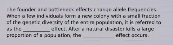 The founder and bottleneck effects change allele frequencies. When a few individuals form a new colony with a small fraction of the genetic diversity of the entire population, it is referred to as the ___________ effect. After a natural disaster kills a large proportion of a population, the _____________ effect occurs.