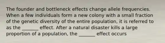 The founder and bottleneck effects change allele frequencies. When a few individuals form a new colony with a small fraction of the genetic diversity of the entire population, it is referred to as the _______ effect. After a natural disaster kills a large proportion of a population, the _______ effect occurs