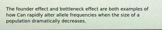 The founder effect and bottleneck effect are both examples of how Can rapidly alter allele frequencies when the size of a population dramatically decreases.