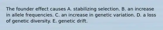 The founder effect causes A. stabilizing selection. B. an increase in allele frequencies. C. an increase in genetic variation. D. a loss of genetic diversity. E. genetic drift.