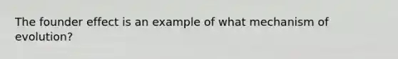 The founder effect is an example of what mechanism of evolution?