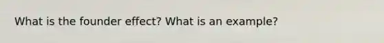 What is the founder effect? What is an example?