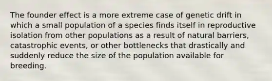 The founder effect is a more extreme case of genetic drift in which a small population of a species finds itself in reproductive isolation from other populations as a result of natural barriers, catastrophic events, or other bottlenecks that drastically and suddenly reduce the size of the population available for breeding.