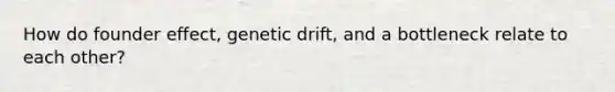 How do founder effect, <a href='https://www.questionai.com/knowledge/kiDrgjXyQn-genetic-drift' class='anchor-knowledge'>genetic drift</a>, and a bottleneck relate to each other?