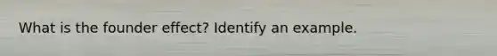 What is the founder effect? Identify an example.
