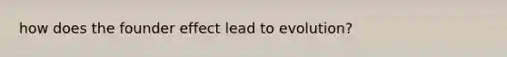 how does the founder effect lead to evolution?