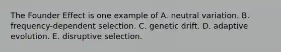 The Founder Effect is one example of A. neutral variation. B. frequency-dependent selection. C. genetic drift. D. adaptive evolution. E. disruptive selection.