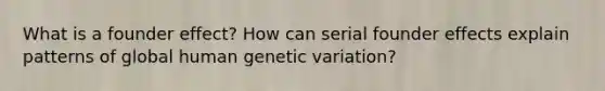 What is a founder effect? How can serial founder effects explain patterns of global human genetic variation?