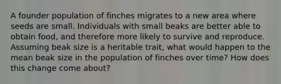 A founder population of finches migrates to a new area where seeds are small. Individuals with small beaks are better able to obtain food, and therefore more likely to survive and reproduce. Assuming beak size is a heritable trait, what would happen to the mean beak size in the population of finches over time? How does this change come about?