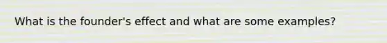 What is the founder's effect and what are some examples?