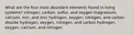 What are the four most abundant elements found in living systems? nitrogen, carbon, sulfur, and oxygen magnesium, calcium, iron, and zinc hydrogen, oxygen, nitrogen, and carbon dioxide hydrogen, oxygen, nitrogen, and carbon hydrogen, oxygen, calcium, and nitrogen