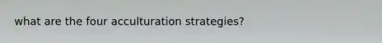 what are the four acculturation strategies?