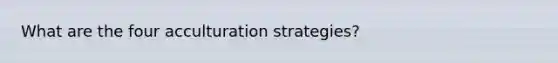 What are the four acculturation strategies?