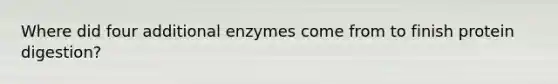 Where did four additional enzymes come from to finish protein digestion?