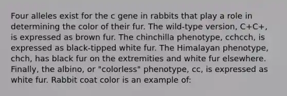 Four alleles exist for the c gene in rabbits that play a role in determining the color of their fur. The wild-type version, C+C+, is expressed as brown fur. The chinchilla phenotype, cchcch, is expressed as black-tipped white fur. The Himalayan phenotype, chch, has black fur on the extremities and white fur elsewhere. Finally, the albino, or "colorless" phenotype, cc, is expressed as white fur. Rabbit coat color is an example of: