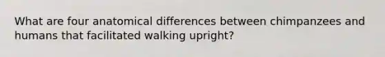 What are four anatomical differences between chimpanzees and humans that facilitated walking upright?