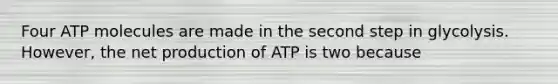 Four ATP molecules are made in the second step in glycolysis. However, the net production of ATP is two because