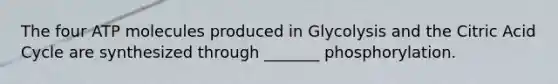 The four ATP molecules produced in Glycolysis and the Citric Acid Cycle are synthesized through _______ phosphorylation.