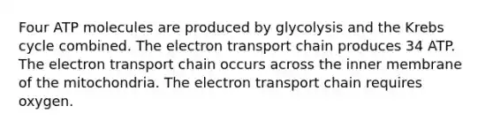 Four ATP molecules are produced by glycolysis and the Krebs cycle combined. The electron transport chain produces 34 ATP. The electron transport chain occurs across the inner membrane of the mitochondria. The electron transport chain requires oxygen.