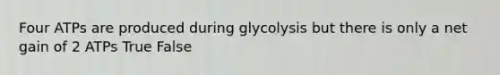 Four ATPs are produced during glycolysis but there is only a net gain of 2 ATPs True False