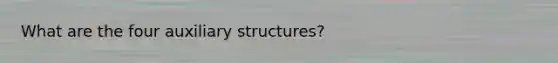 What are the four auxiliary structures?