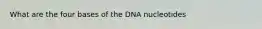 What are the four bases of the DNA nucleotides